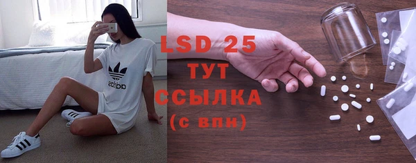 ГАЛЛЮЦИНОГЕННЫЕ ГРИБЫ Аркадак