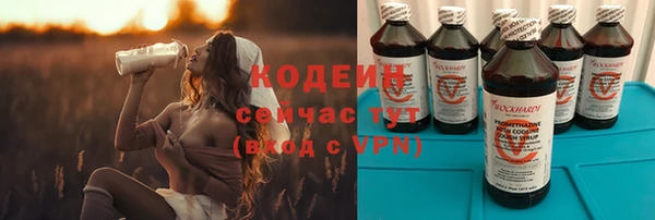 ГАЛЛЮЦИНОГЕННЫЕ ГРИБЫ Аркадак
