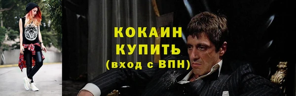ГАЛЛЮЦИНОГЕННЫЕ ГРИБЫ Аркадак