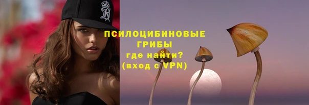 ГАЛЛЮЦИНОГЕННЫЕ ГРИБЫ Аркадак
