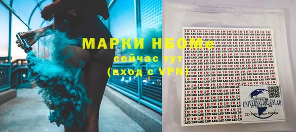 ГАЛЛЮЦИНОГЕННЫЕ ГРИБЫ Аркадак