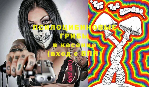 ГАЛЛЮЦИНОГЕННЫЕ ГРИБЫ Аркадак